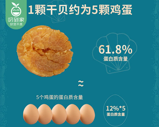 广州精选大元贝礼盒/1盒（100g）生产日期：12月15日左右补单专用 商品图5