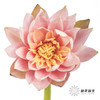 配花 | 睡莲香槟粉 商品缩略图1