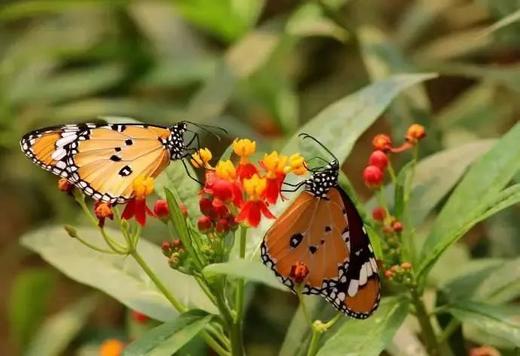 【五一】山东:火山口捡蓝宝石，亚洲最大萤火虫水洞，中国最长地下暗河漂流，帮订车票|亲子5~10岁 商品图5