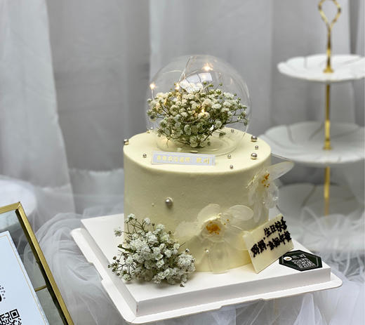 满天星 商品图0