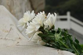 地产老板游某猝死再次告诉我们：讳疾忌医只会葬送自己的健康，甚至生命！