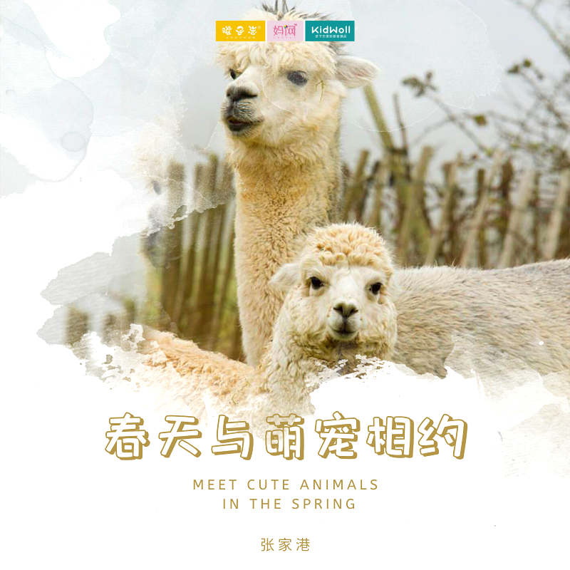 孩子志旅行 |  5/1 萌宠相约 /// 春季共赴一场和萌宠的约会！欣赏田园风光、玩转萌宠乐园、体验健康快乐的生活、亲身感受农耕文化的乐趣