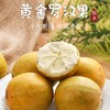 【每日食养】黄金罗汉果茶特级特大低温脱水小包装（12个礼盒装） 商品缩略图4