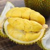 泰国甲仑榴梿一级大果 （包5房）保留好快递单 /48-72小时发货 商品缩略图1