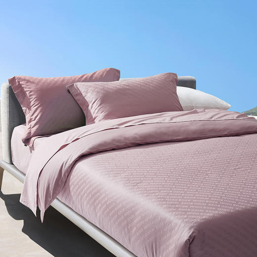 HBTH029 HB LOGO贡缎提花四件套(灰粉色) 商品图2