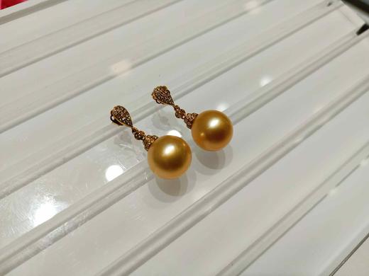 1F南洋恒信珍珠耳饰 商品图0