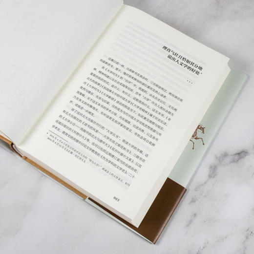 文学如何教育：人文视野下的文学教育——陈平原 著 东方出版社 商品图9