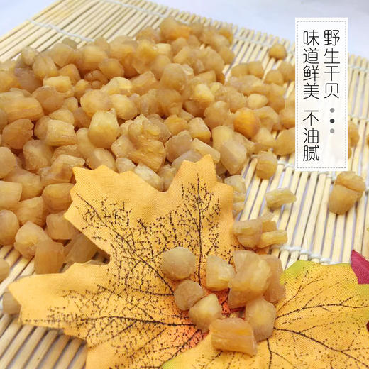 野生黄金贝（东山岛） 商品图6