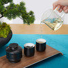 TA040301038ZZ 自动冲茶器礼盒－亚黑 商品缩略图6