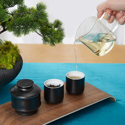 TA040301038ZZ 自动冲茶器礼盒－亚黑 商品图6