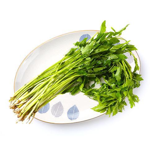 【BSS】水芹菜 约500克 商品图1