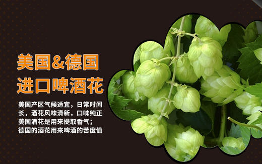 精酿原浆生啤橙色啤酒18度赠品 商品图2