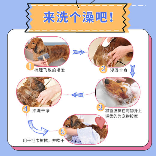 日本进口狮王宠物沐浴露香氛泡沫护理香波猫犬用品 商品图2