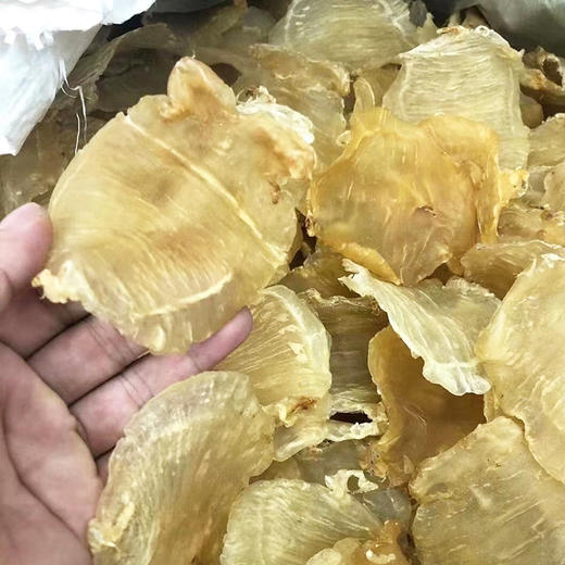 足干A货红鸡赤嘴鱼胶 商品图2