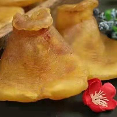 十年赤嘴鳘鱼胶 老花胶 商品图0