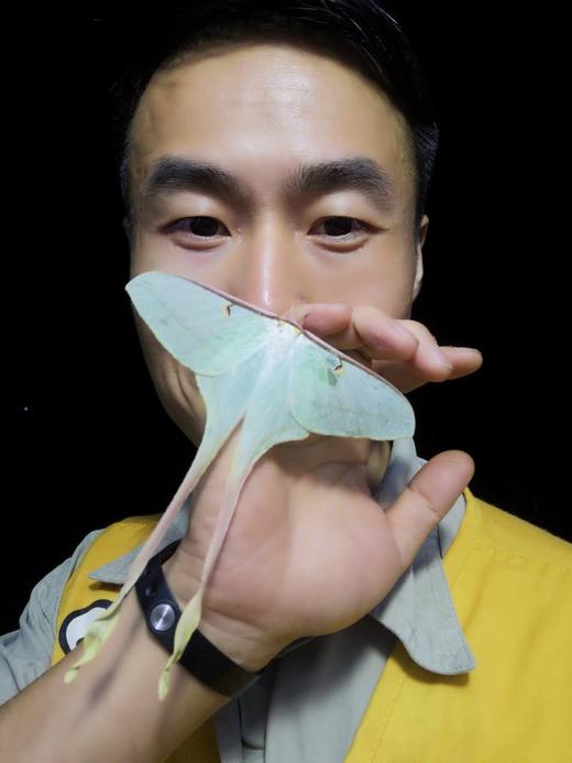 高端C营！国内罕有 研究蝴蝶 专家带领做课题，7天6夜搞透蝴蝶这事儿 商品图4