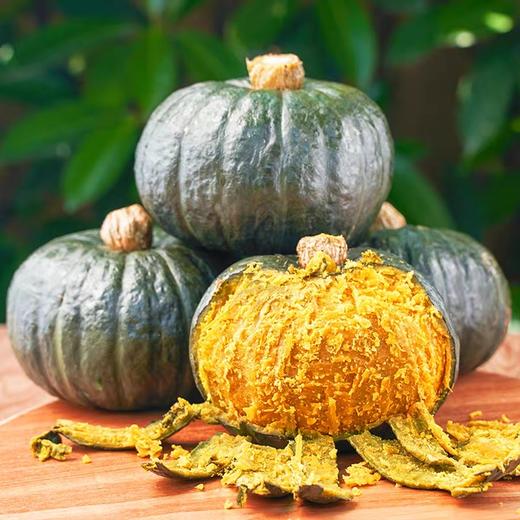 云南贝贝南瓜5斤装 商品图0