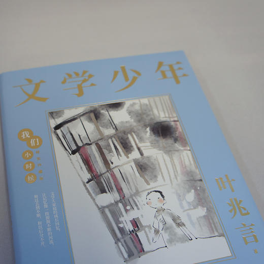 文学少年 我们小时候精装珍藏版 叶兆言散文随笔文集家长与孩子共读的名家文学散文精选集3000780 商品图4