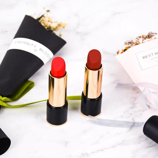 法国兰蔻唇膏196#/274# 169# 商品图2