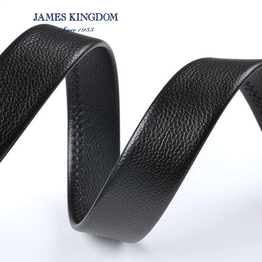 JAMES KINGDOM 占姆士男士皮带 商品图1