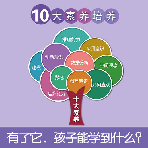 数学脑全10册 商品图4