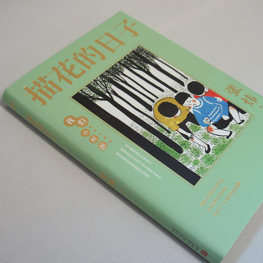 描花的日子 我们小时候精装珍藏版 叶兆言散文随笔文集家长与孩子共读的名家文学散文精选集3000784 商品图3