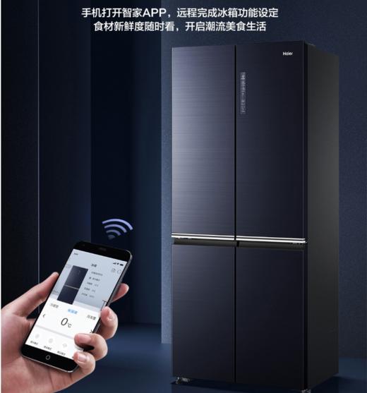 海尔（Haier）冰箱BCD-496WSEBU1 商品图12