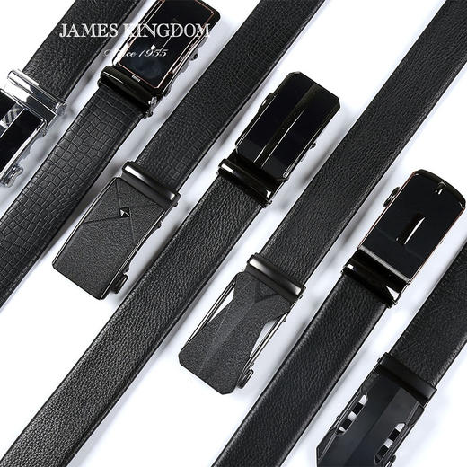 JAMES KINGDOM 占姆士男士皮带 商品图3