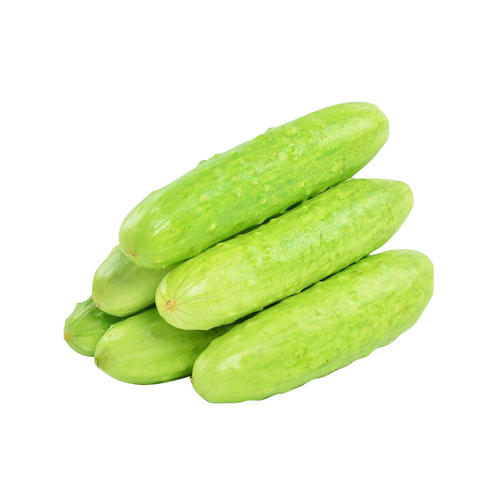 白黄瓜(500g±50g) 商品图0