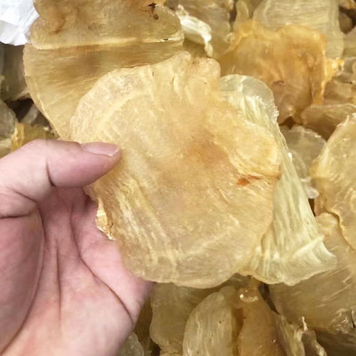 足干A货红鸡赤嘴鱼胶 商品图3