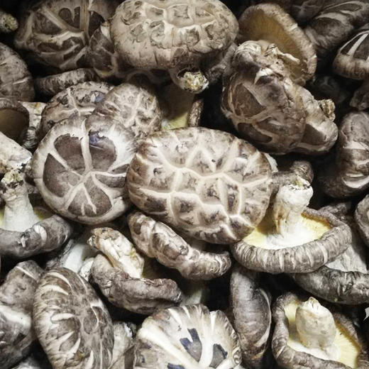 庆元花菇 商品图3