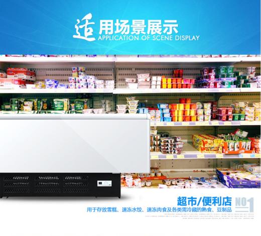 海尔（Haier）冷柜SC/SD-568CX 商品图5