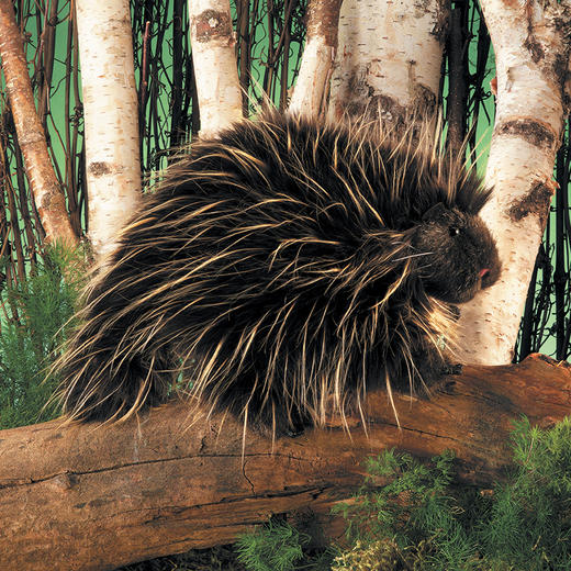 Folkmanis Puppets豪猪玩具/2378玩偶毛绒玩具礼物 商品图1