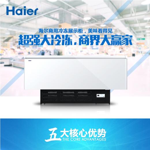 海尔（Haier）冷柜SC/SD-568CX 商品图0