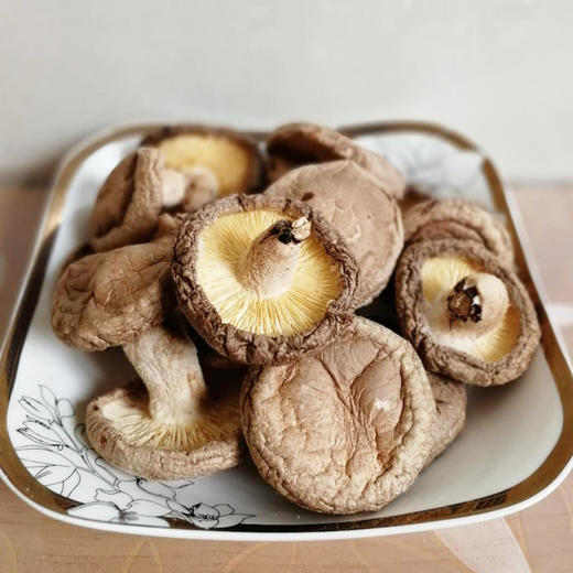 庆元带脚菇 商品图2