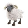 Folkmanis Puppets叫声绵羊玩具/3058玩偶毛绒玩具礼物 商品缩略图0