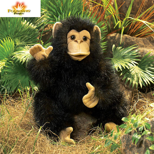 Folkmanis Puppets黑猩猩玩具/2877玩偶毛绒玩具礼物 商品图1