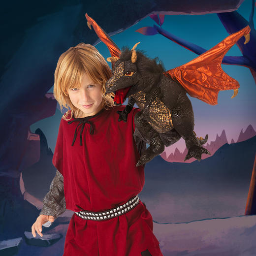 Folkmanis Puppets黑龙玩具/3069玩偶毛绒玩具礼物 商品图1