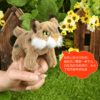 Folkmanis Puppets小山猫指套玩具/2740玩偶毛绒玩具礼物 商品缩略图2