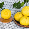 黄金贡柚（春香柚） 商品缩略图3