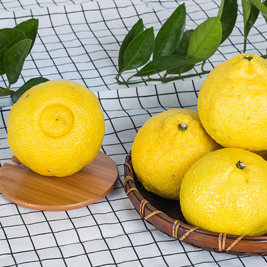 黄金贡柚（春香柚） 商品图3