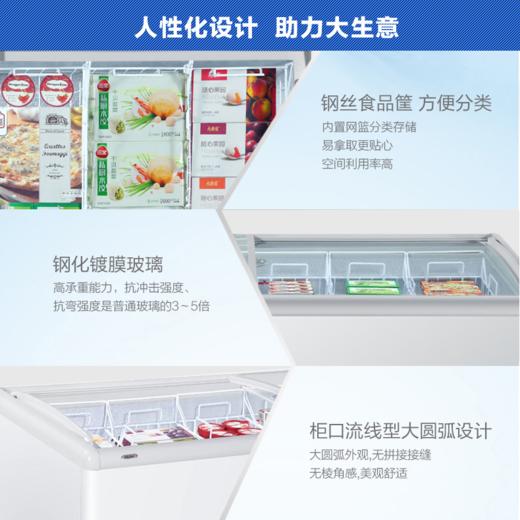 海尔（Haier）冷柜SC/SD-828CXU9 商品图8