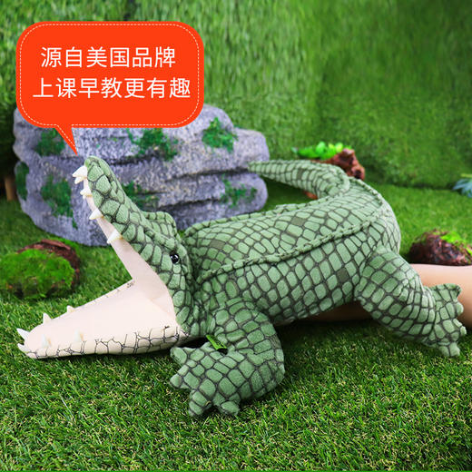 Folkmanis Puppets趴鳄鱼玩具/2130玩偶毛绒玩具礼物 商品图3