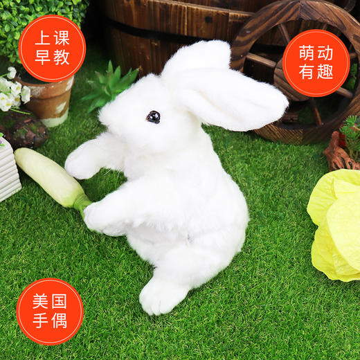 Folkmanis Puppets站姿白兔玩具/2868玩偶毛绒玩具礼物 商品图3