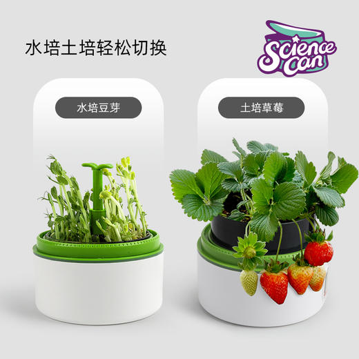 【孟德尔植物培育舱 见证植物生长】孩子的掌上研究所，观察植物生长发芽全过程 商品图3