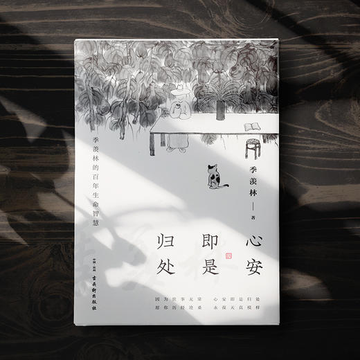 心安即是归处 - 文通天下图书旗舰店