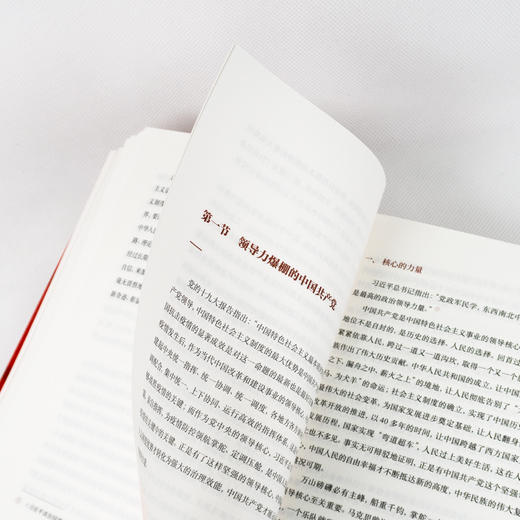 读懂中国优势 商品图8