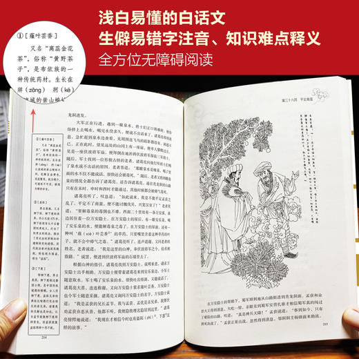 《青少版四大名著》| 康辉、朱广权、贺红梅、海阳公益领读   名校学霸亲子共读 商品图7