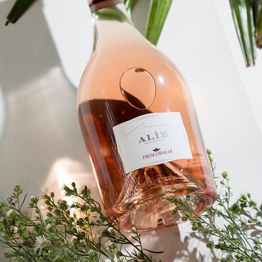 杞冠臻选 | 【意大利花思蝶酒庄】艾莉亚ALIE 海之女神 托斯卡纳桃红葡萄酒 意大利花思蝶Frescobaldi 商品图6