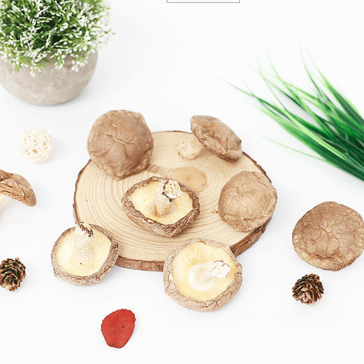 庆元带脚菇 商品图1